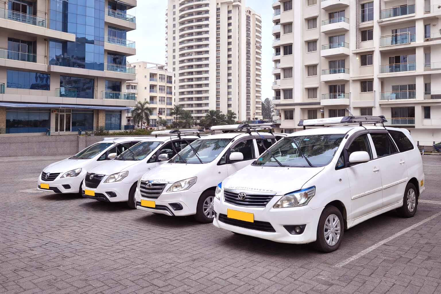 About Punjab Pathways