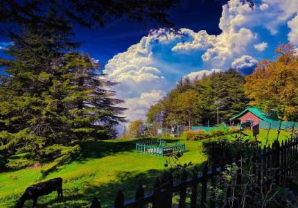 Amritsar Dalhousie Dharamshala Manali Shimla Chandigarh