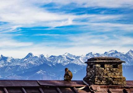 Amritsar Dharamshala Dalhousie Amritsar