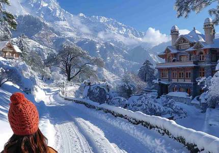 Himachal Tours