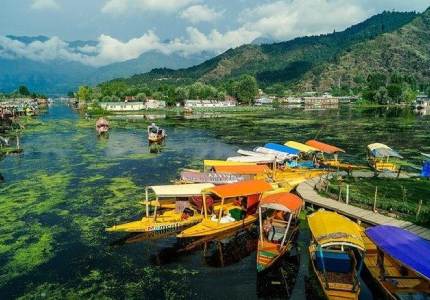 Dreamy Srinagar Escape: 5 Days of Peace & Beauty