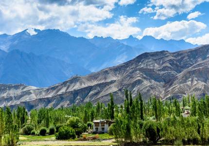 The Meadow Trail: Chandigarh to Sonmarg Escape