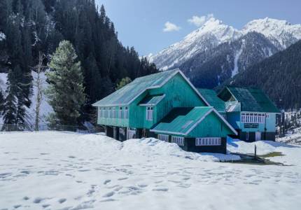The Meadow Trail: Chandigarh to Sonmarg Escape