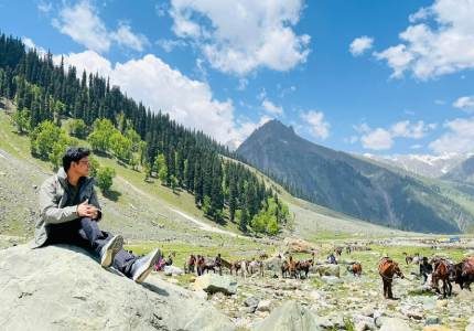 The Ultimate Kashmir Discovery: 9-Day Grand Tour from Chandigarh