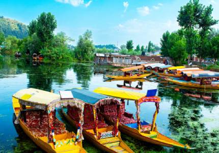 Valley Vibes: Scenic Kashmir Discovery Trip
