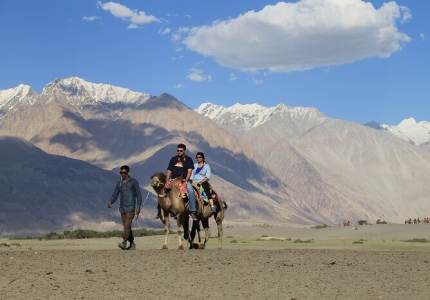 Ladakh Unleashed: From Golden Temple to Snowy Peaks
