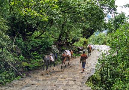 Amritsar to Hemkunt Sahib Pilgrimage